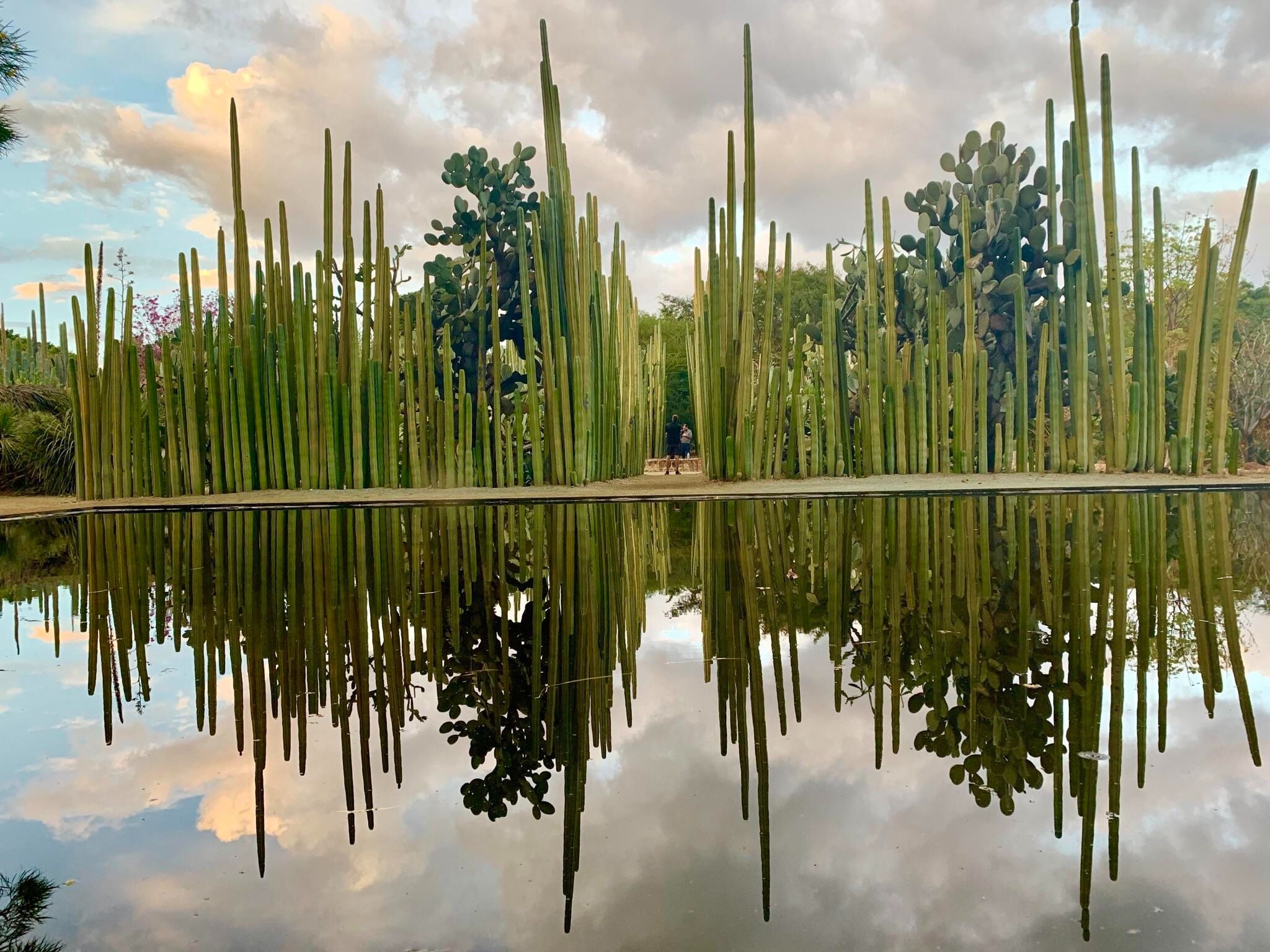 Picture of Jardín Etnobotánico de Oaxaca