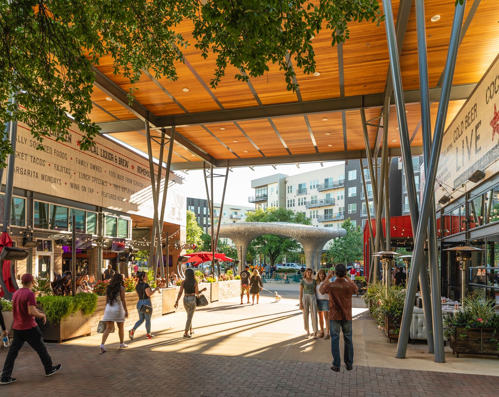 Picture of The Domain