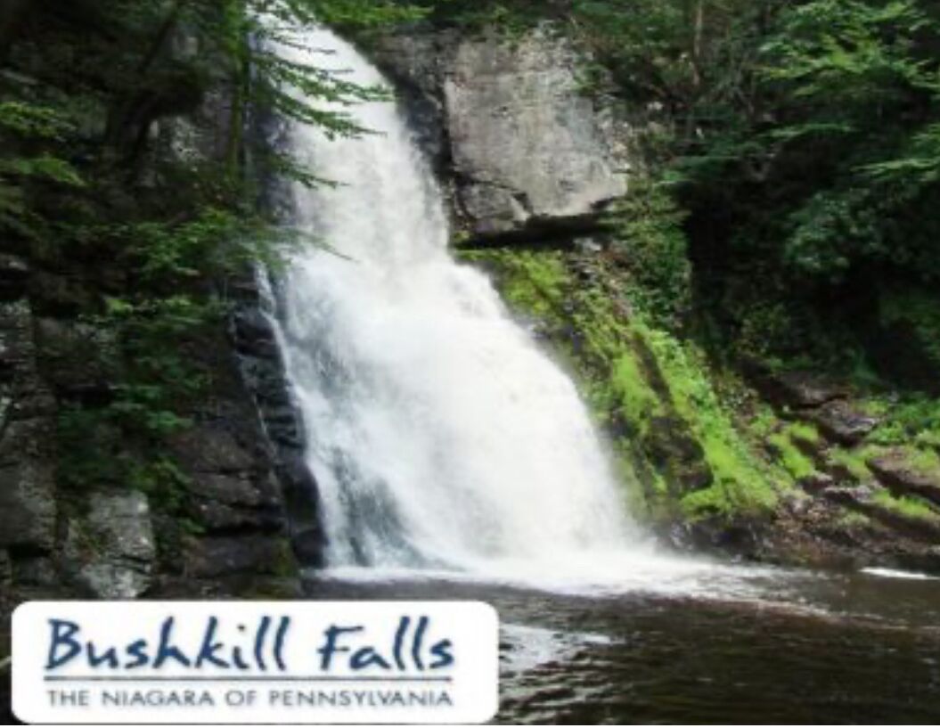 Picture of Bushkill Falls