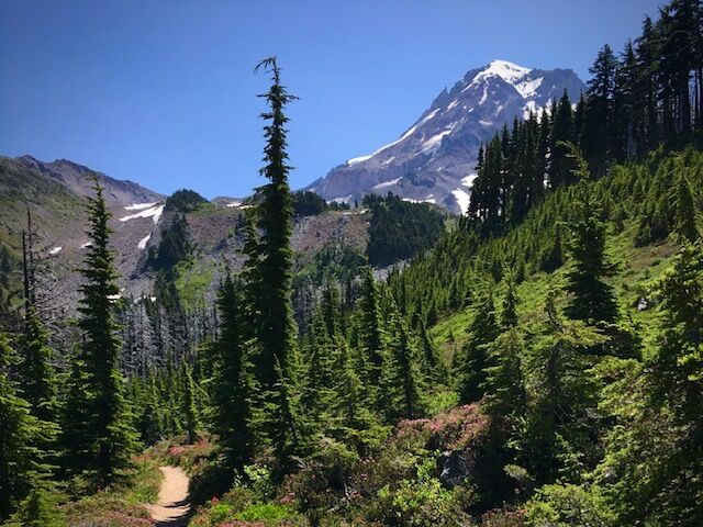 Picture of Hiking!