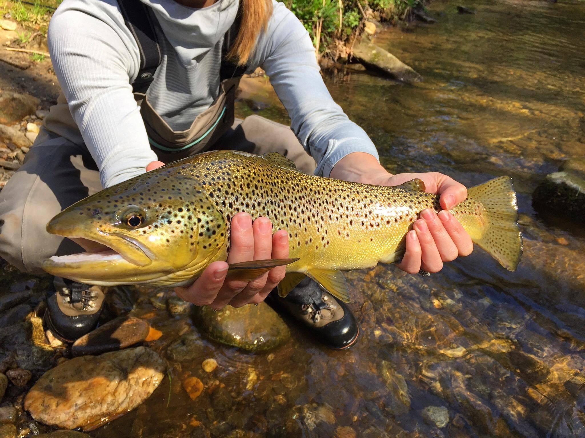 Picture of Elk Creek Outfitters