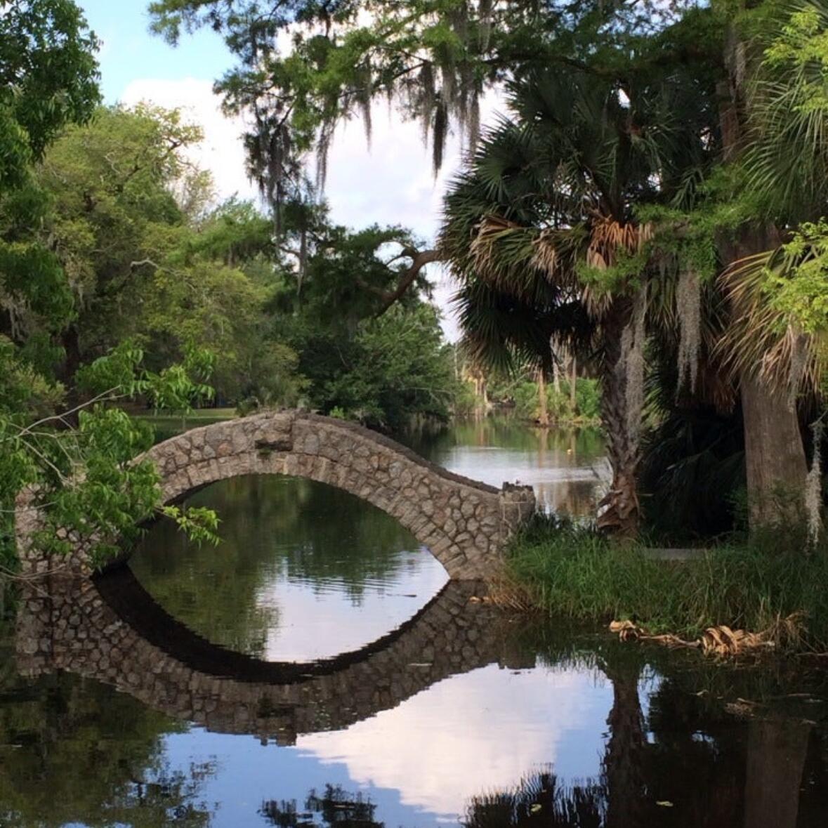 Picture of City Park