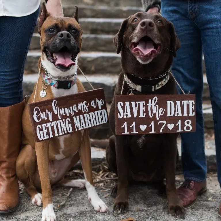 'Our humans are getting married' wooden engagement photo sign prop for dogs