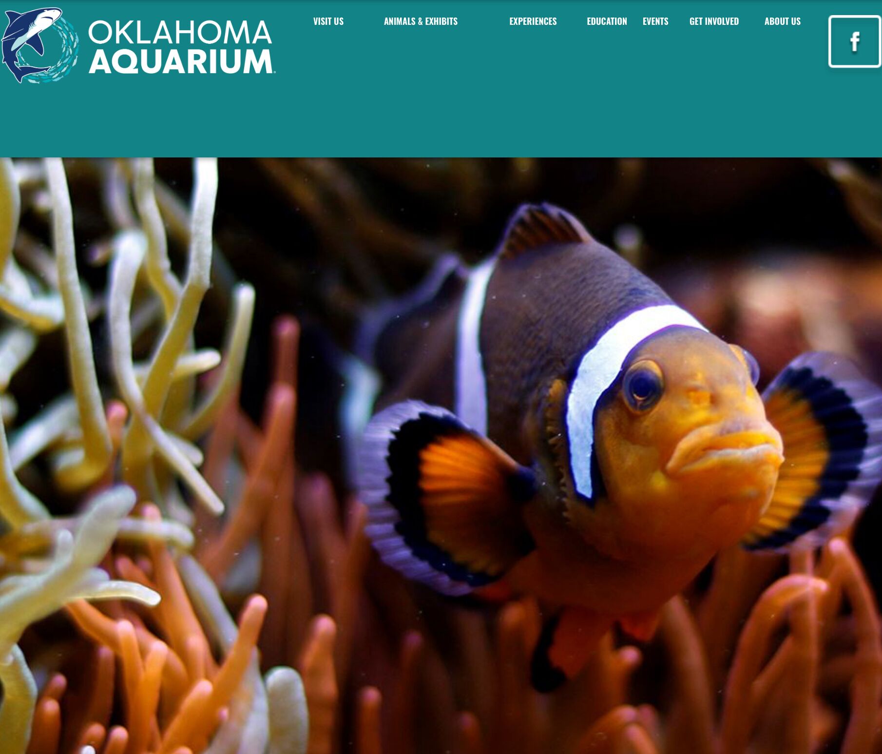 Picture of Oklahoma Aquarium 