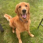 Sammy