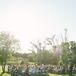 Backyard Ceremony at Carter's Family Home