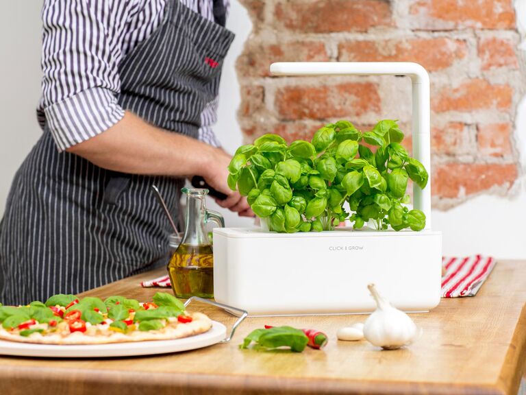 Click and Grow indoor smart garden for herbs and veggies 18th anniversary gift