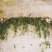 Rustic Green Garland