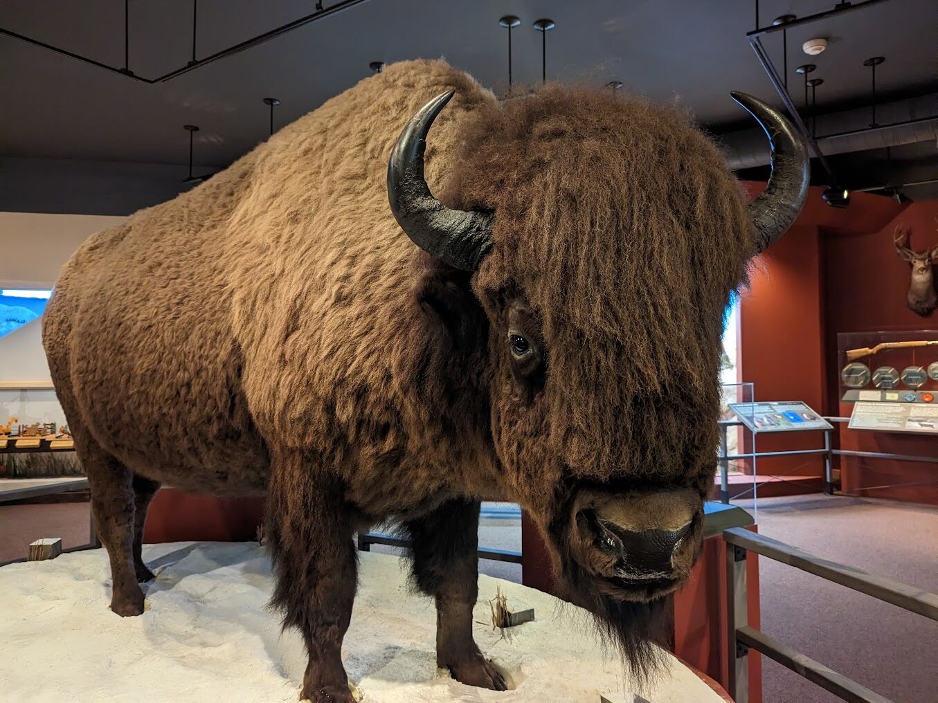 Picture of Wyoming State Museum