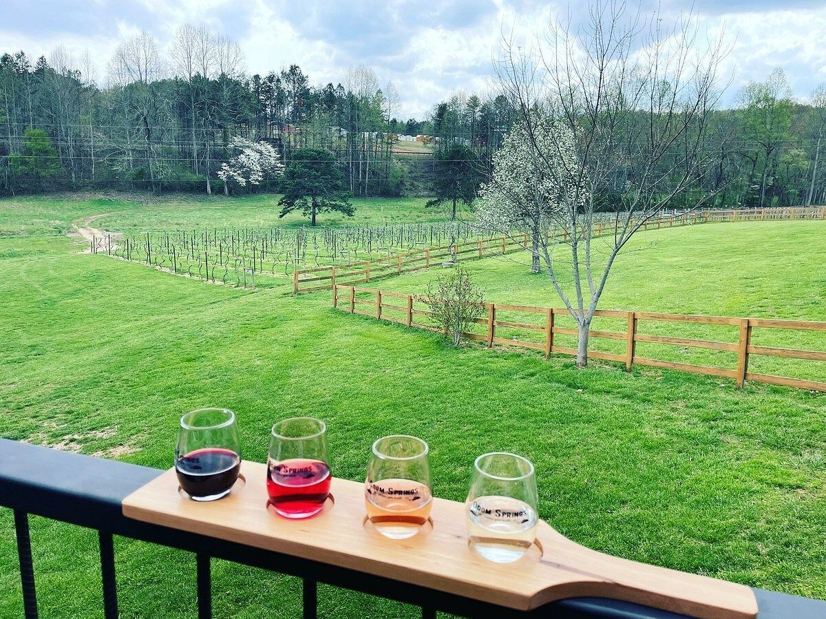 Picture of Odom Springs Vineyards