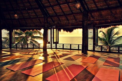 Picture of Yoga