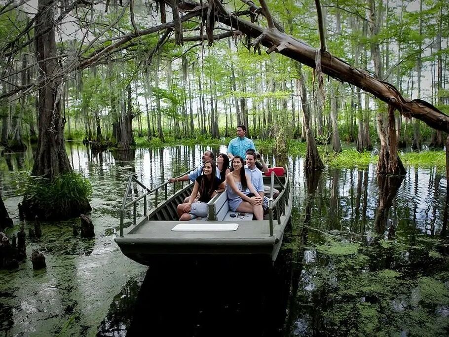 Picture of Cajun Encounters Tours