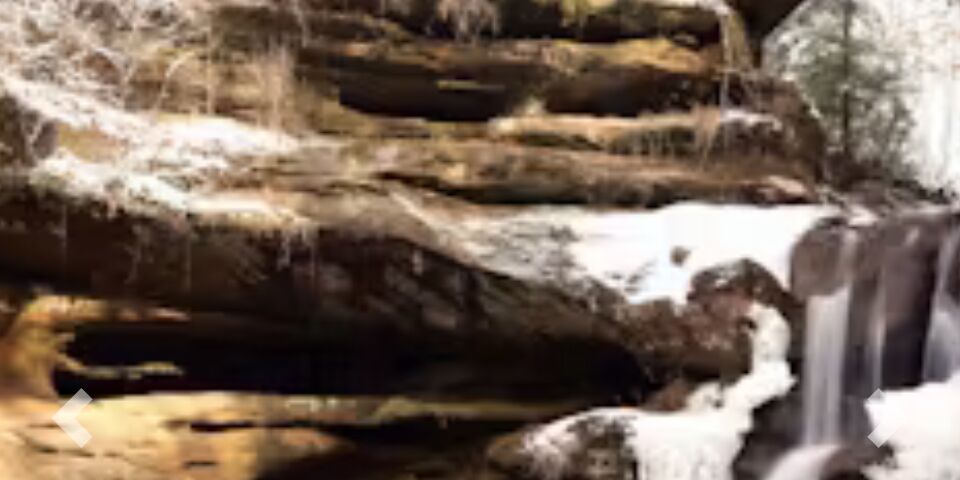 Picture of Cabin website: