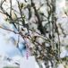 Escort Cards Tied on Branches with Twine