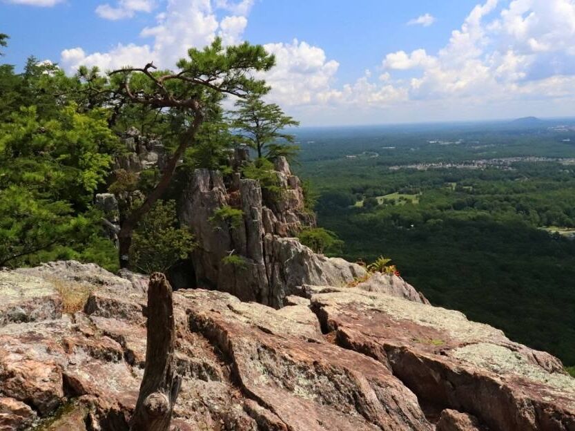 Picture of Crowders Mountain State Park - Linwood Road Access