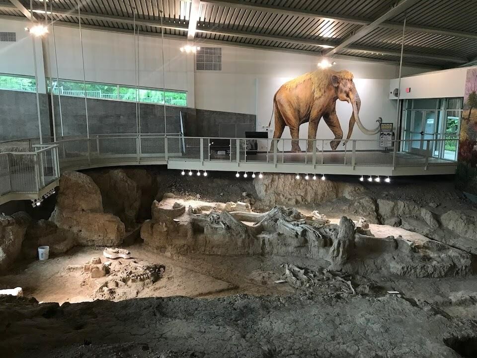 Picture of Waco Mammoth National Monument