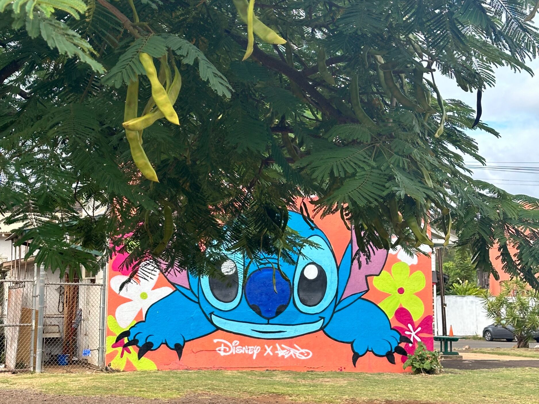 Picture of Lilo & Stitch Mural
