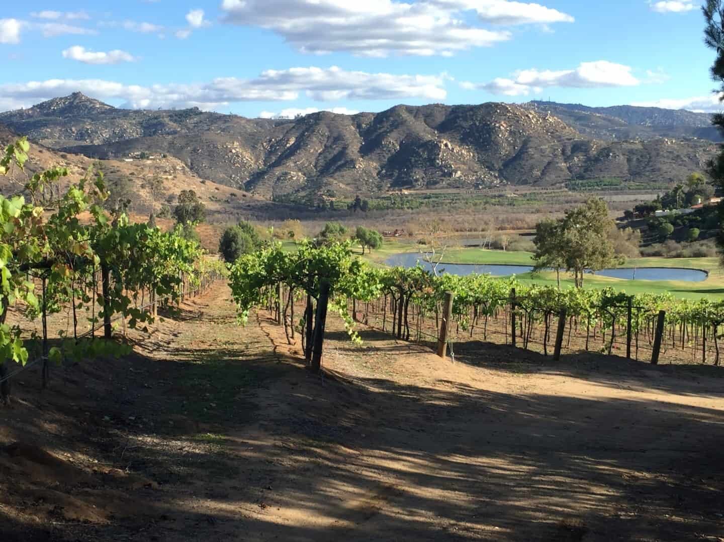 Picture of Orfila Vineyards and Winery