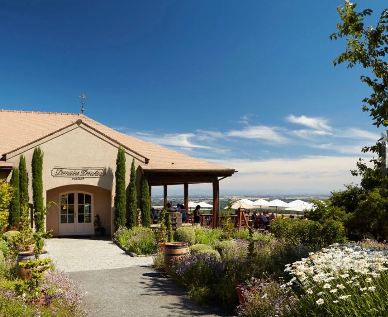 Picture of Domaine Drouhin