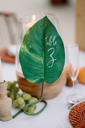 Tropical Leaf Table Number for Wedding at the Marco Island Marriott in Florida