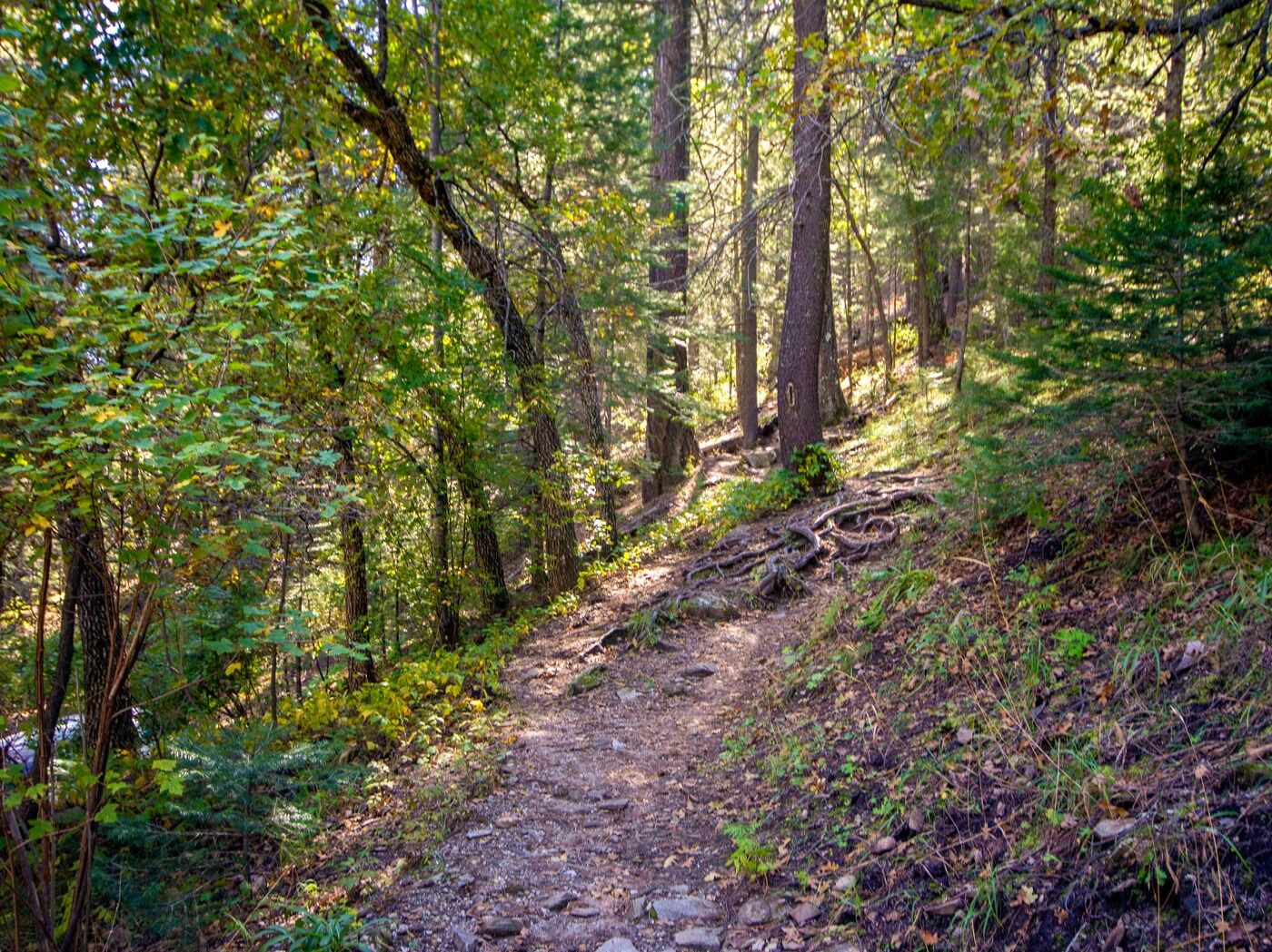 Picture of Hiking