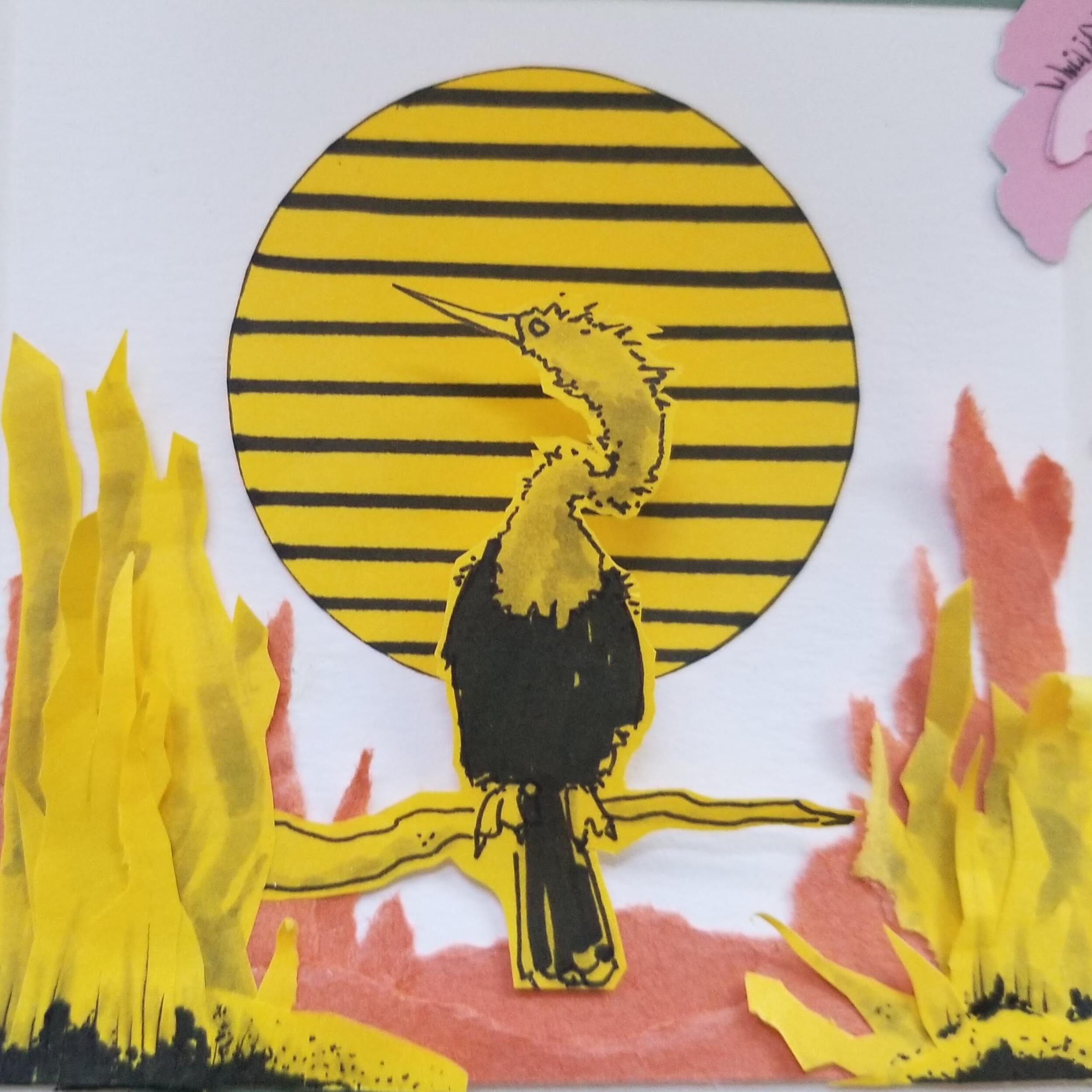 Picture of Karl Brower | Table 22 Anhinga