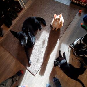 Gallery Photo 10