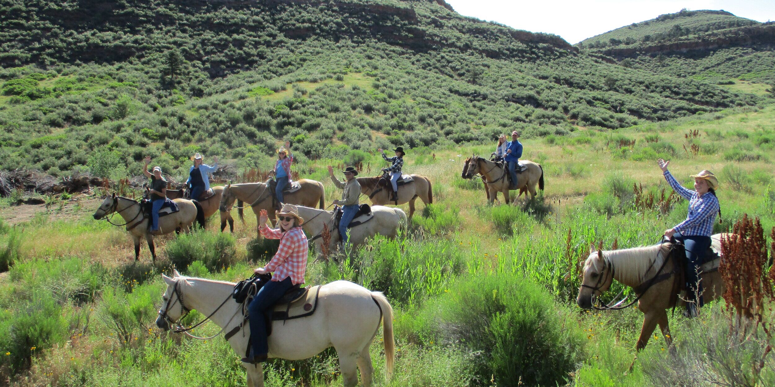 Picture of Horseback Riding