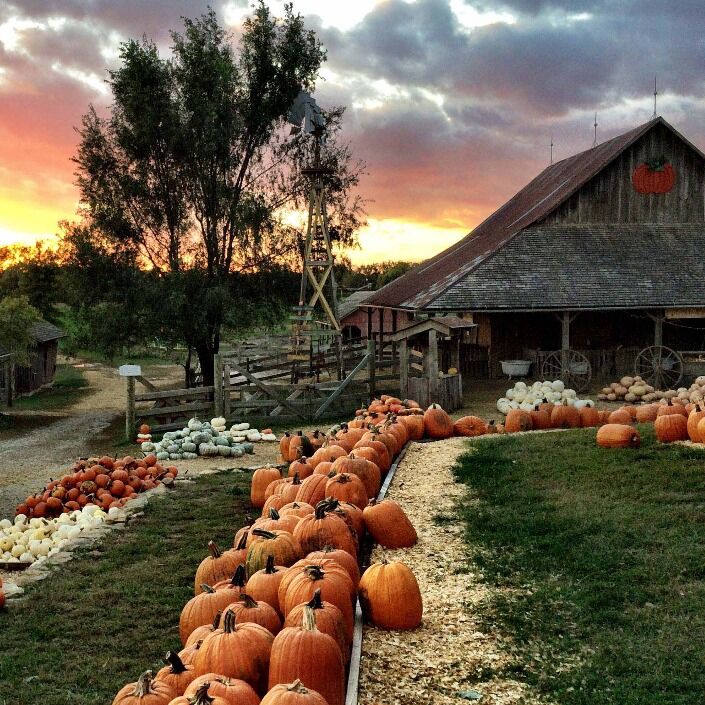 Picture of Weston Red Barn Farm