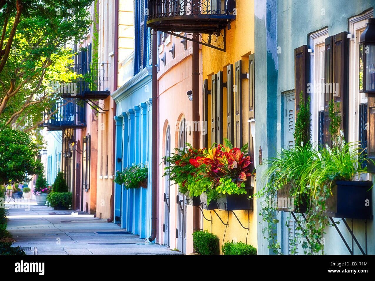 Picture of Rainbow Row