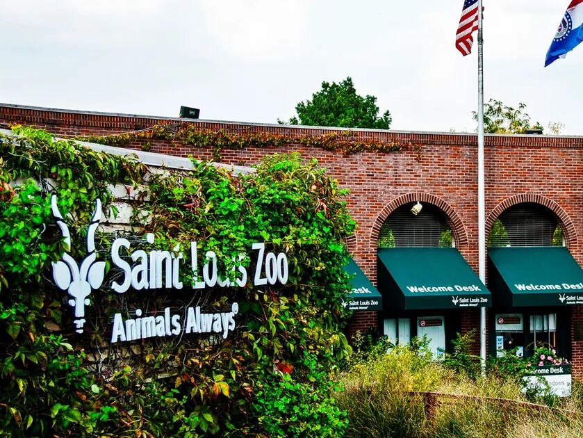 Picture of Saint Louis Zoo