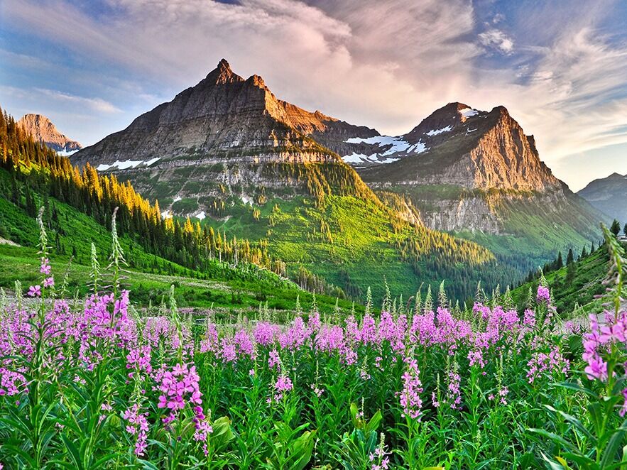 Picture of Glacier National Park