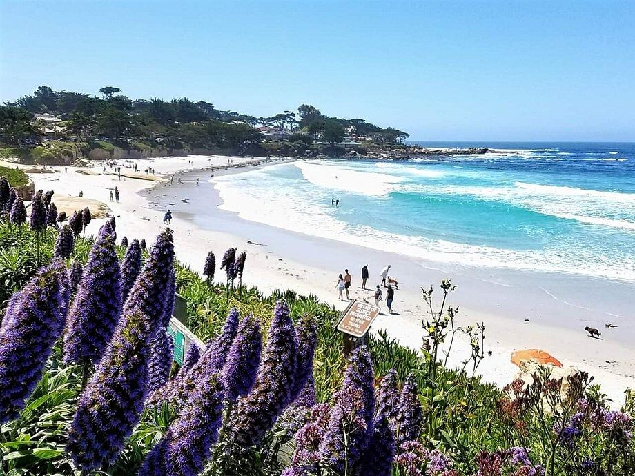 Picture of Carmel Beach Walk