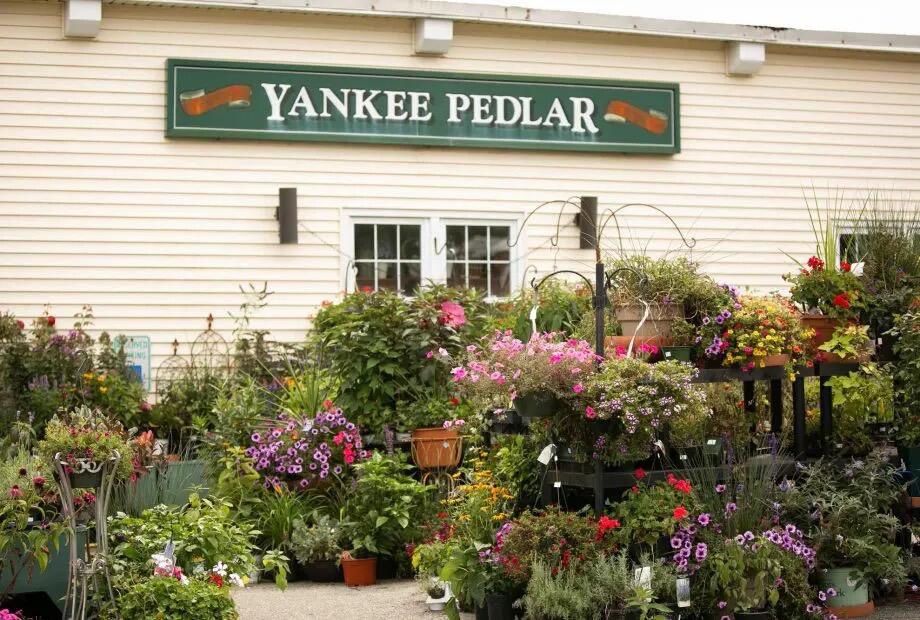 Picture of Sturbridge Yankee Pedlar