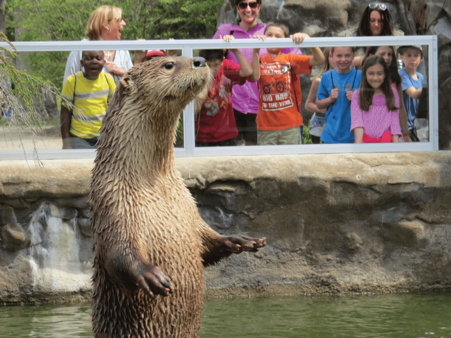 Picture of Buttonwood Park Zoo