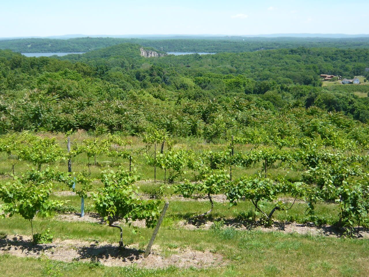 Picture of Shawangunk Wine Trail