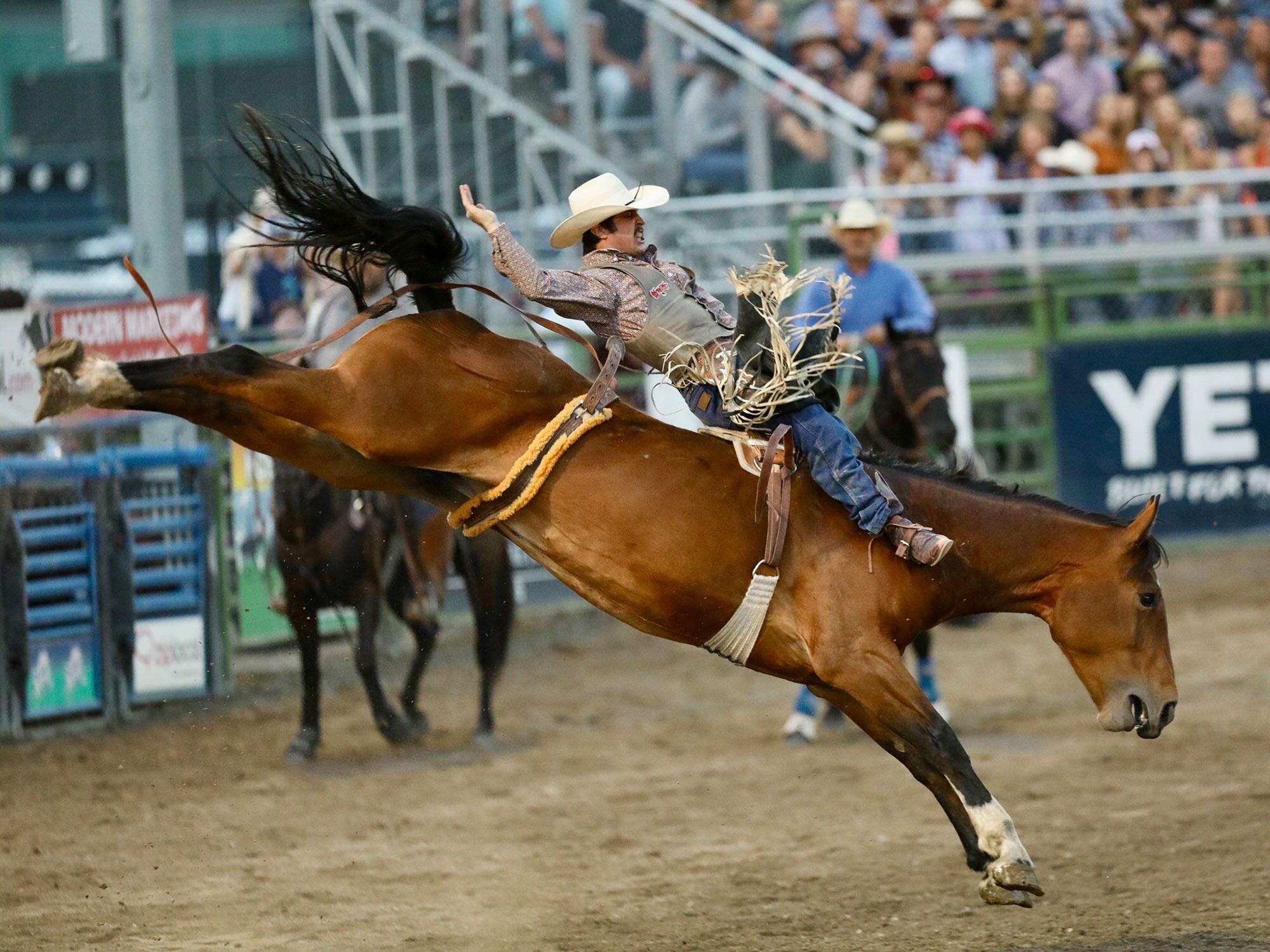 Picture of Jackson Hole Rodeo
