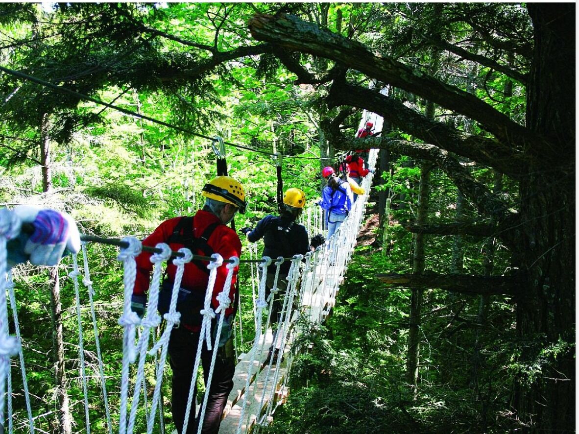 Picture of Bretton Woods Canopy Tour