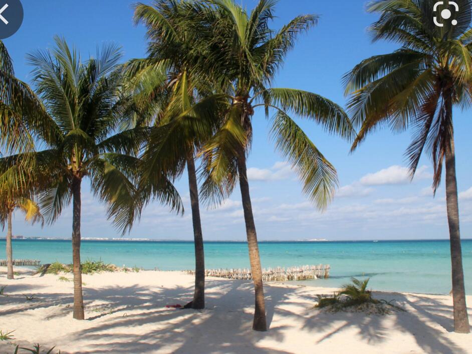Picture of Hit the beach!