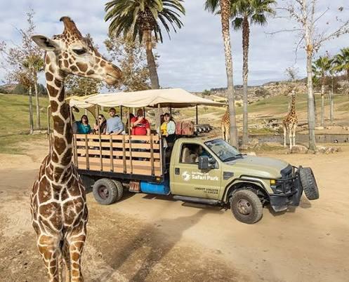 Picture of San Diego Zoo Safari Park