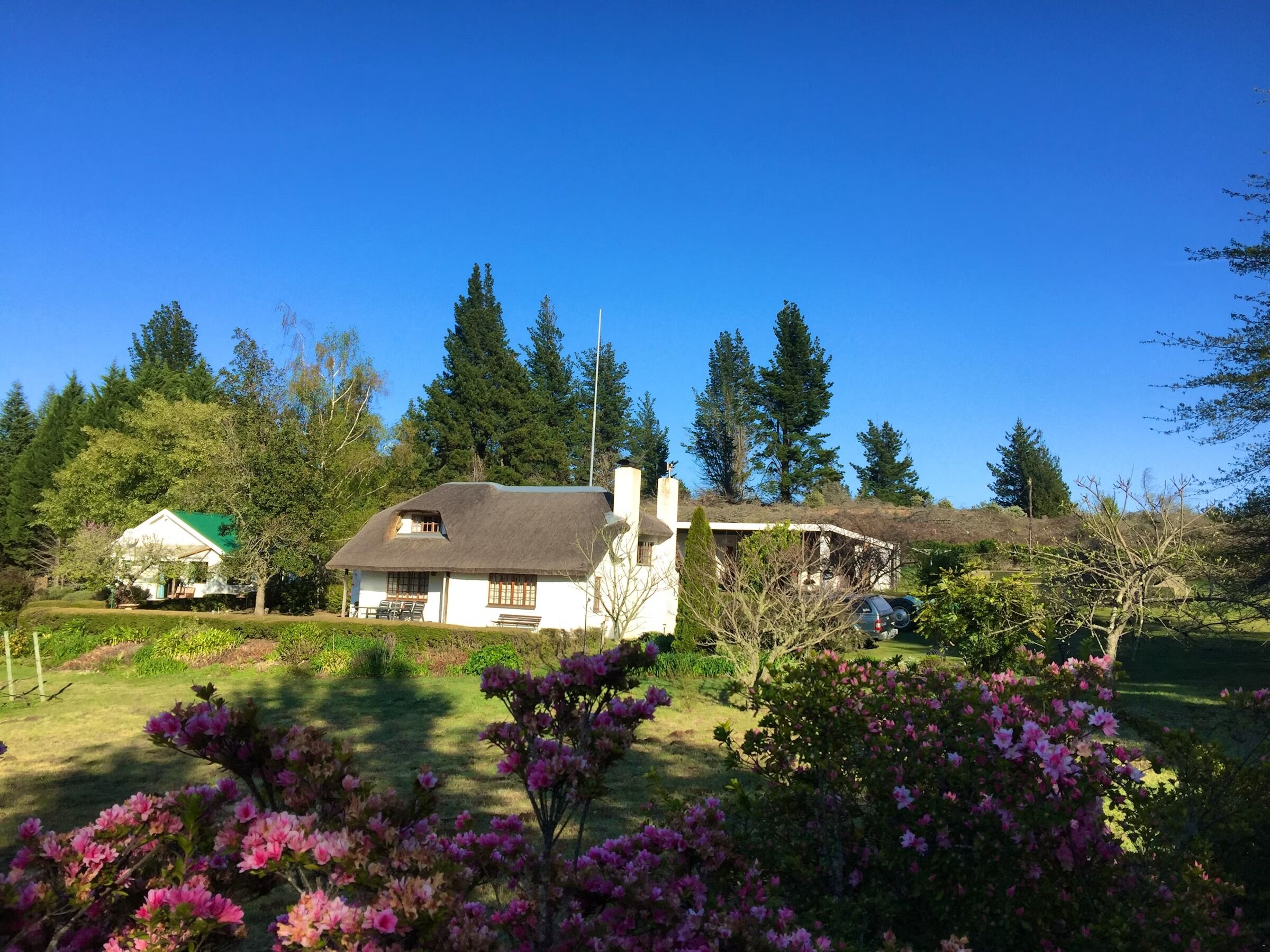 Picture of Windrush on Hogsback