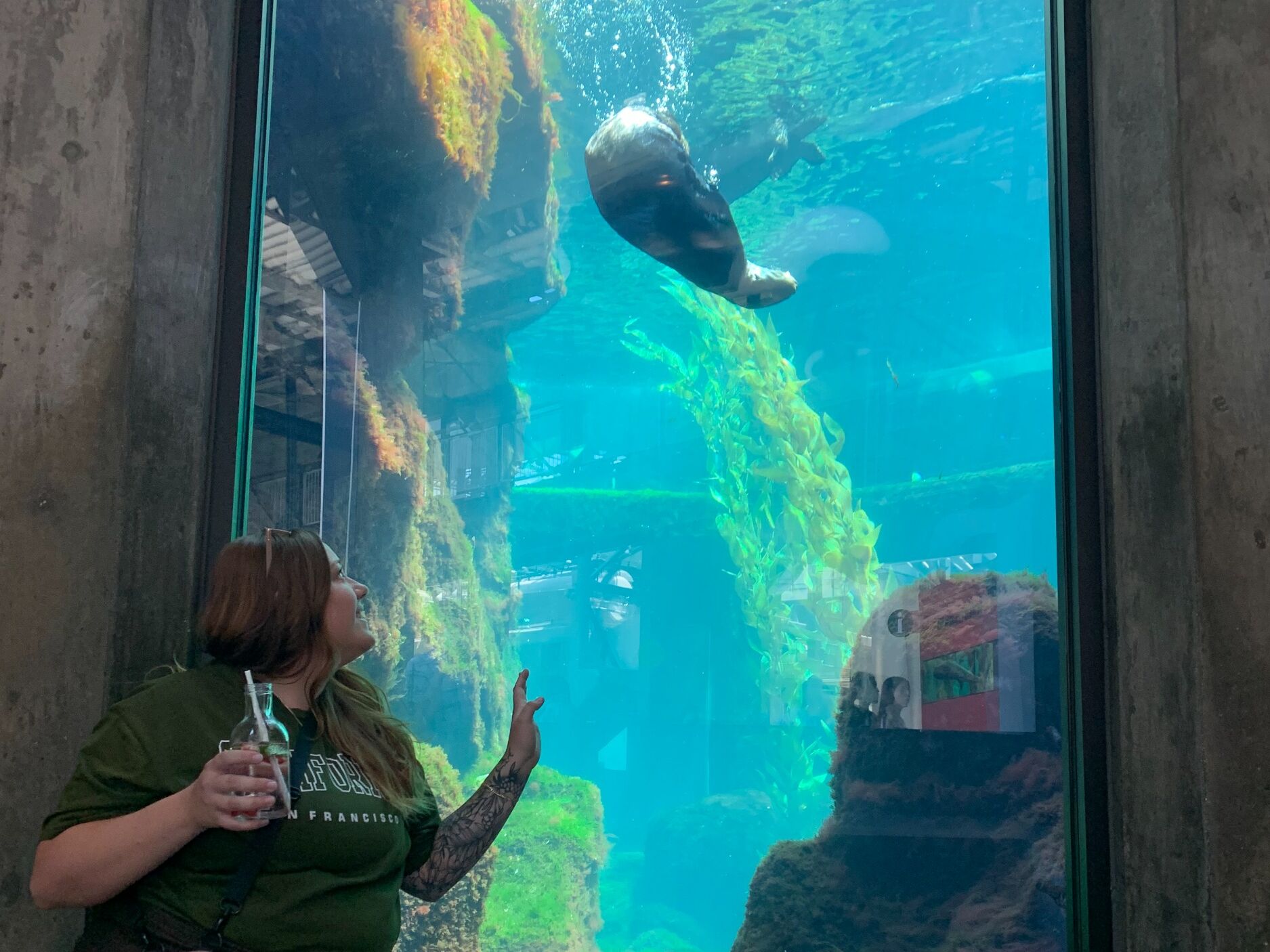 Picture of Monterey Bay Aquarium