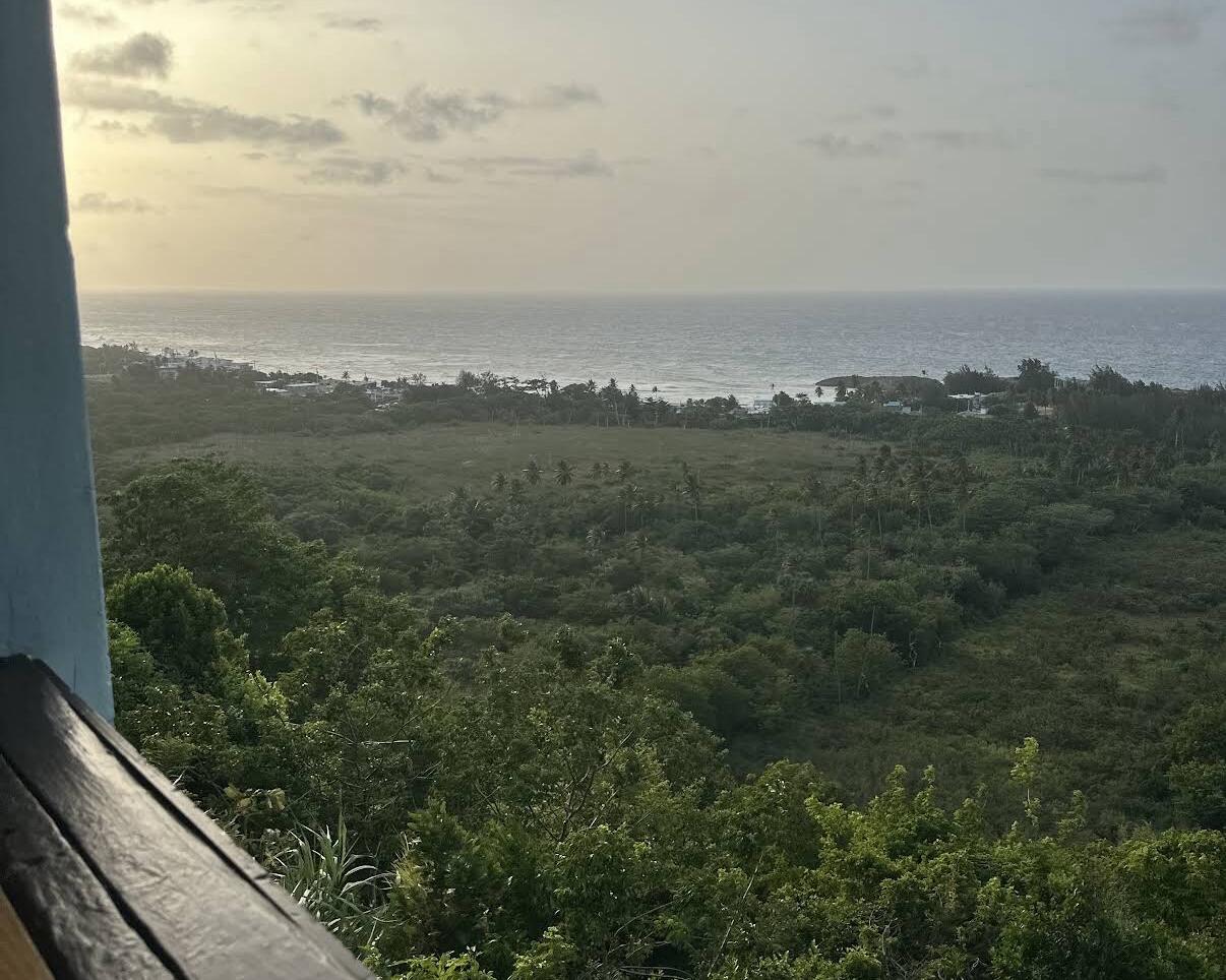 Picture of Isabela