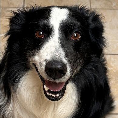 Duke Hanssen 