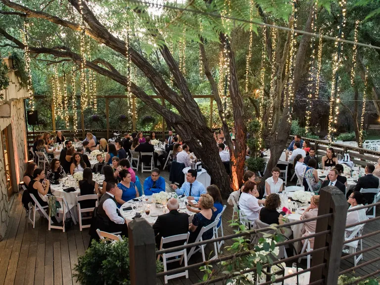 Tree Limb Wedding Lighting idea