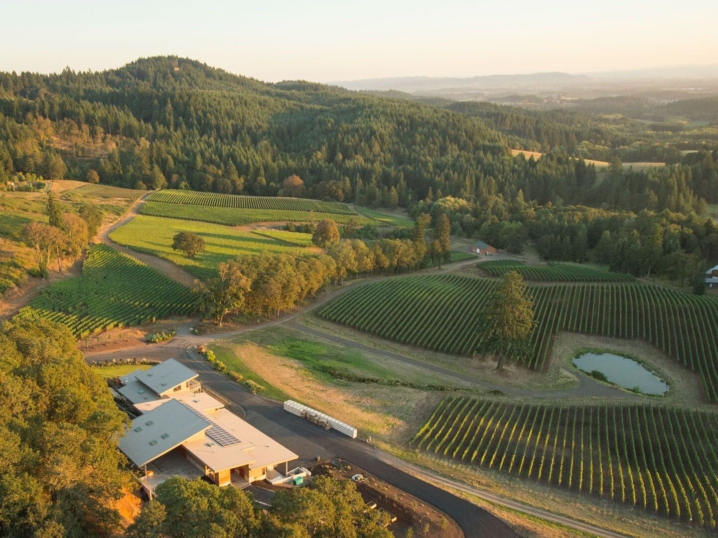 Picture of AirBNB Newberg, OR