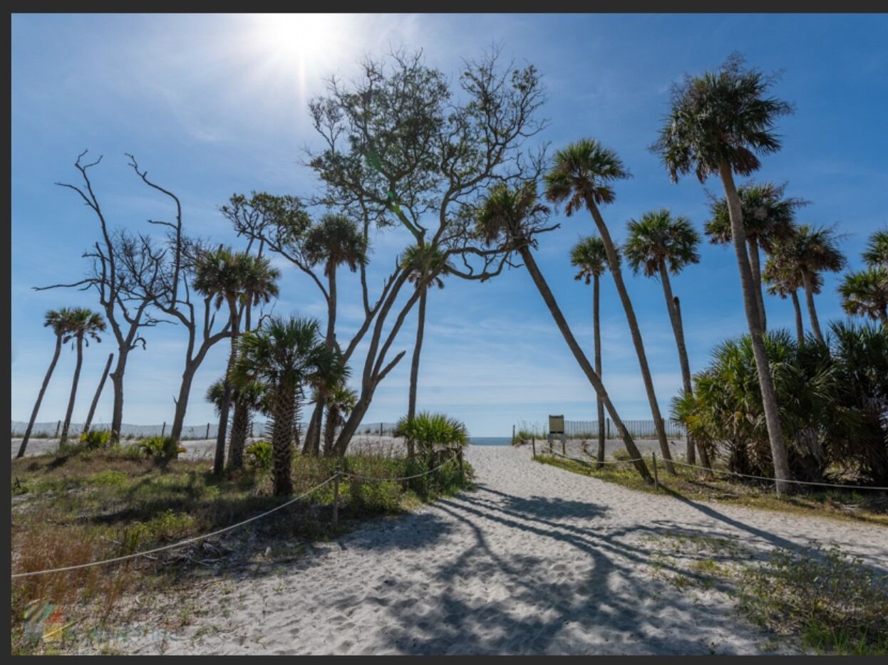 Picture of Hunting Island State Park