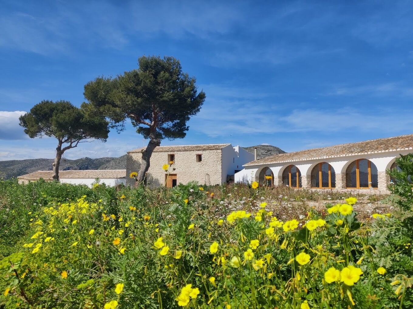 Picture of Montesanco