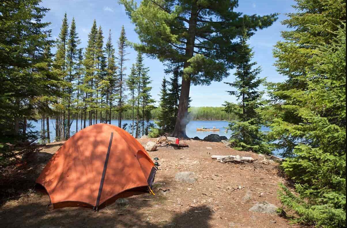 Picture of Camping in Willamette National Forest