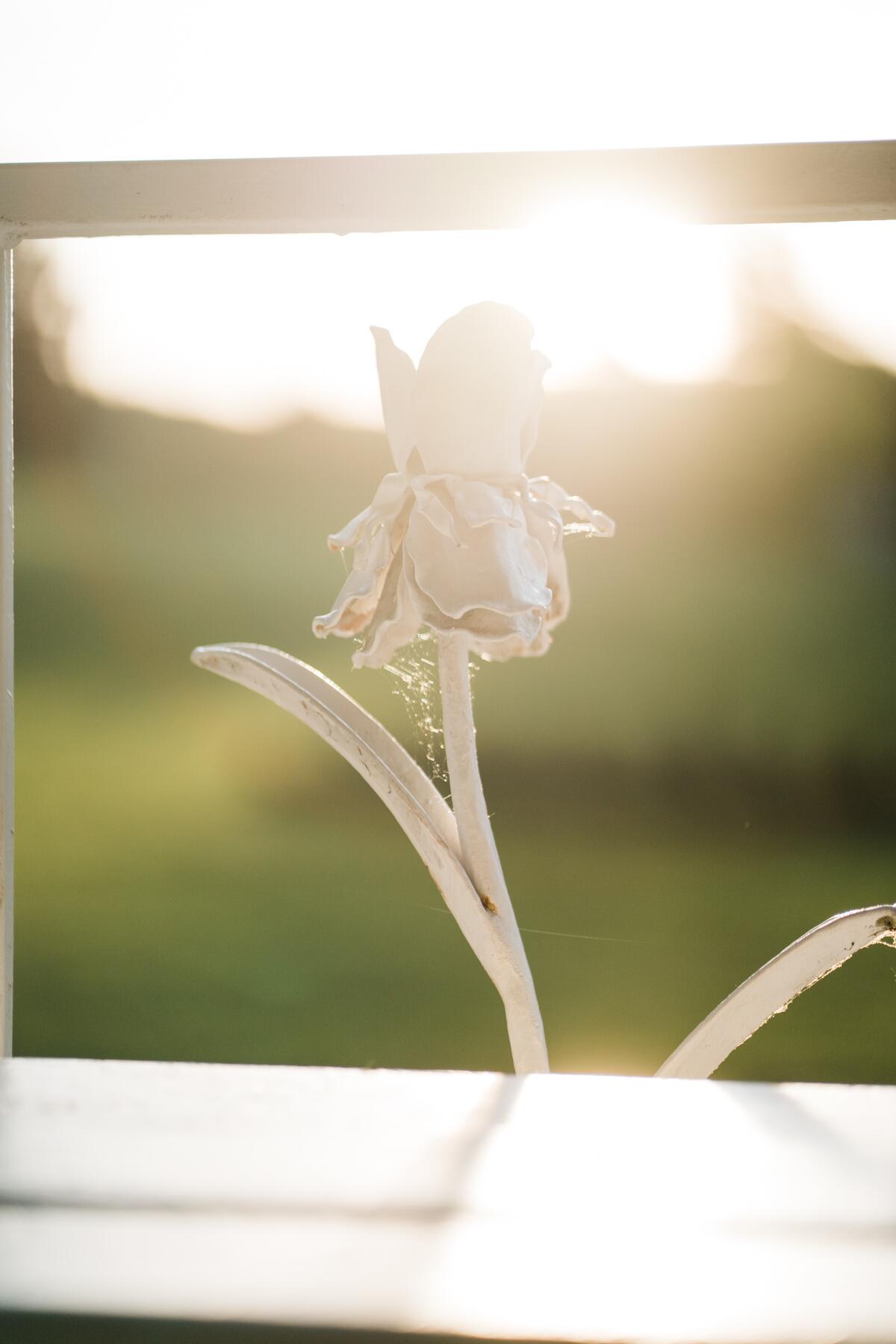 Album Photo 17